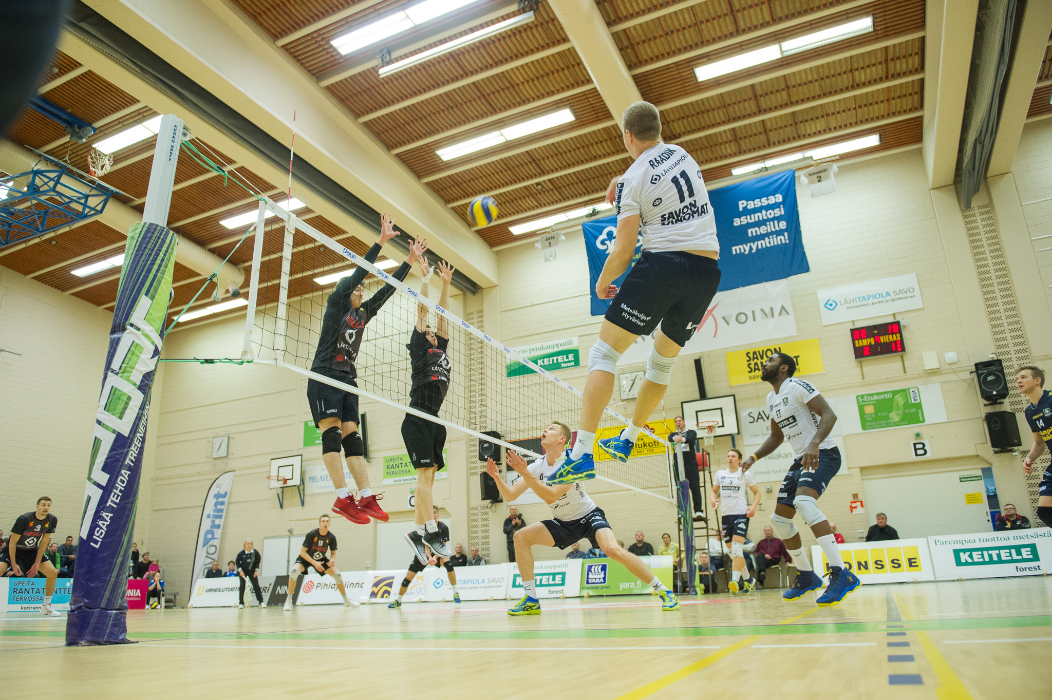 Sampo Volleyn voittokulku jatkuu - Ducks edelleen pisteittä