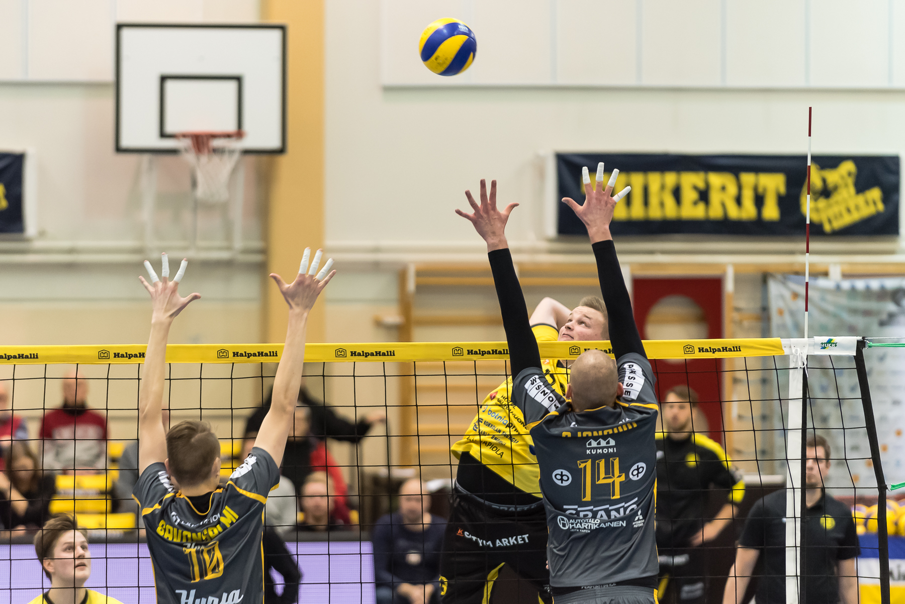 Tiikerit lisäsi Savo Volley tuskaa