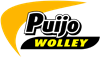Janica Helenius Puijo Wolleyn liigavahvuuteen