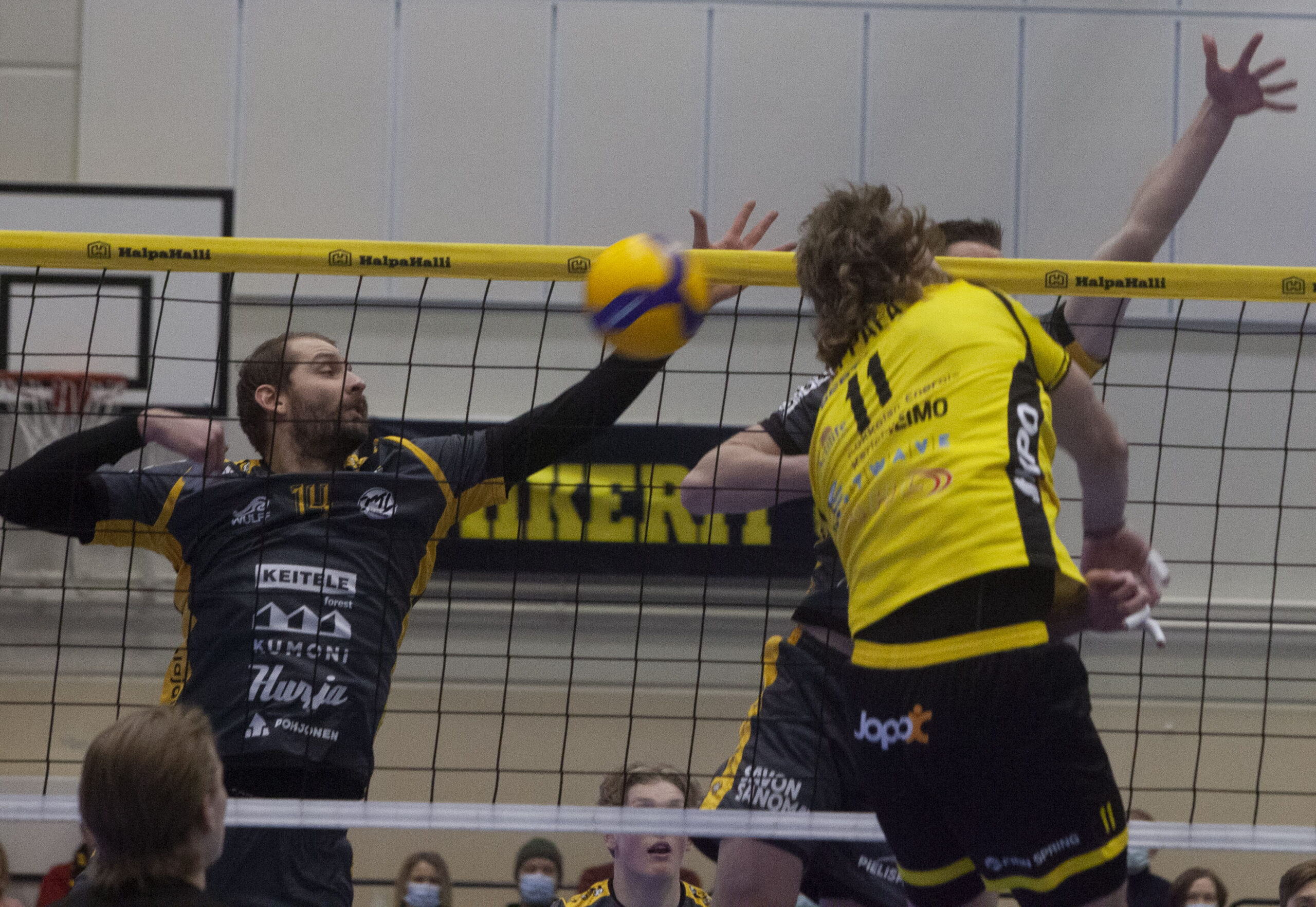 Keskinen Tiikereiden laumajohtajana - Savo Volley nurin