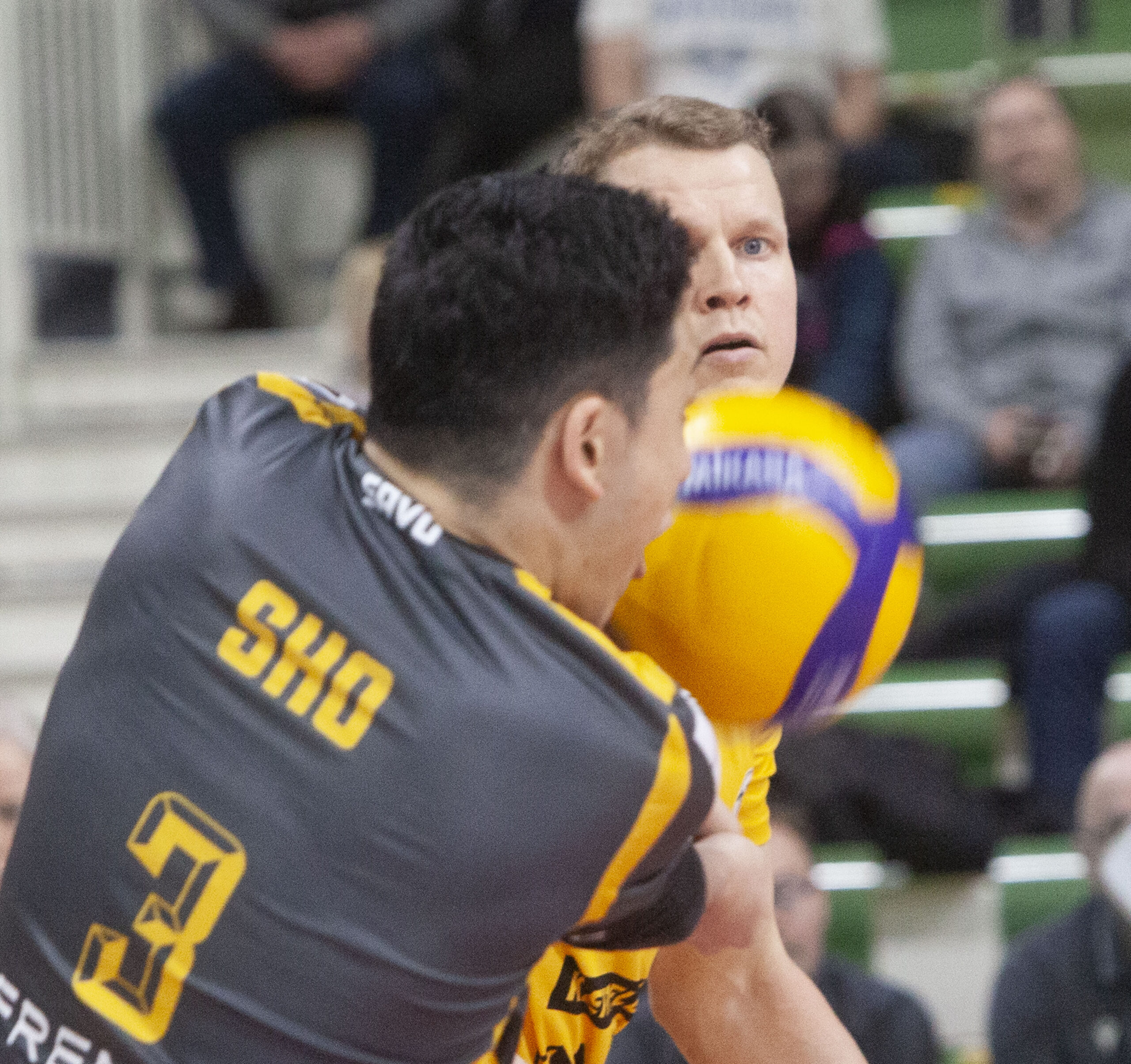 Savo Volley rynnisti mitalipeleihin erätappioitta