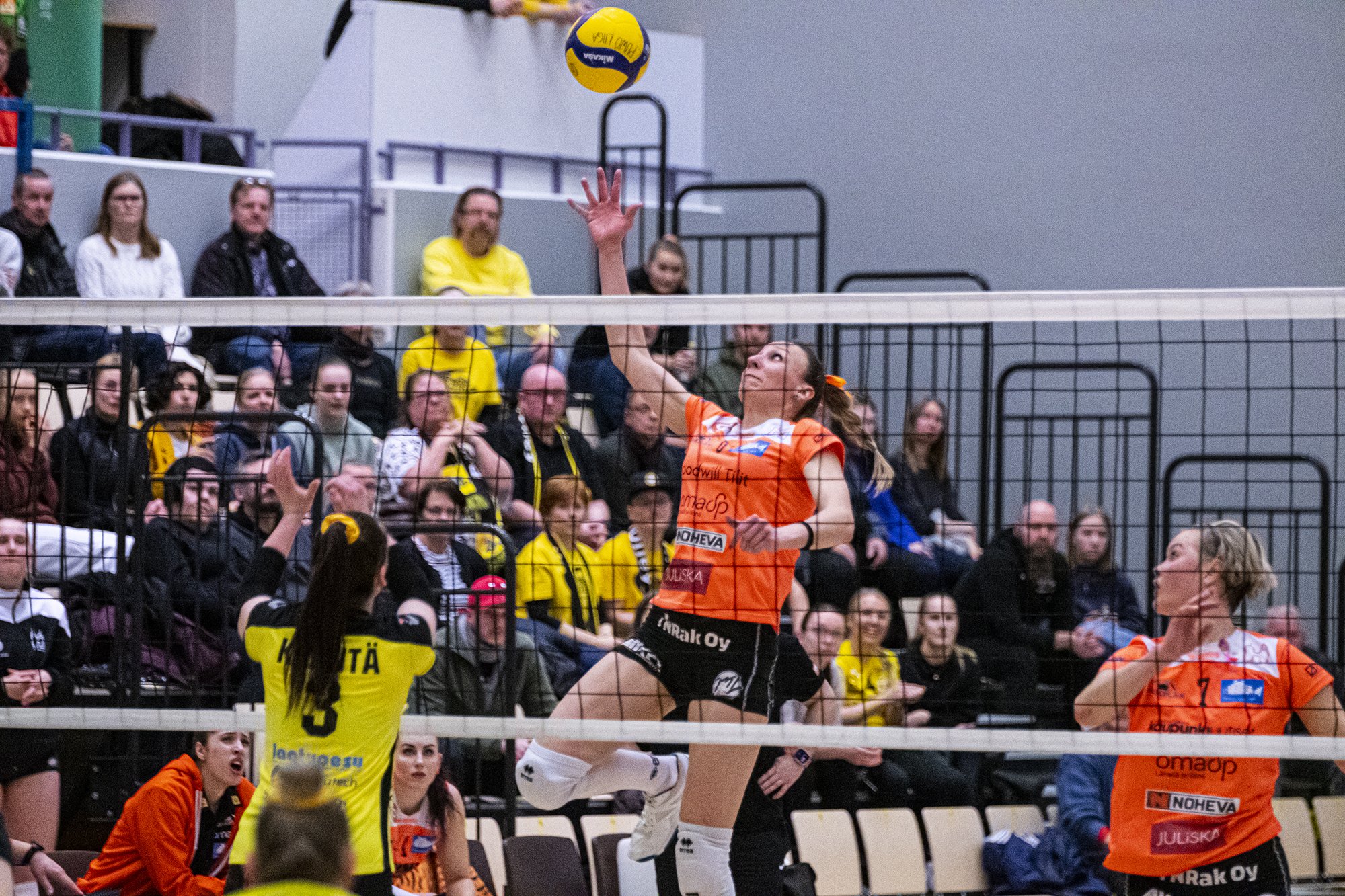 Puijo Wolley hoiti myös toisen kotivälierän