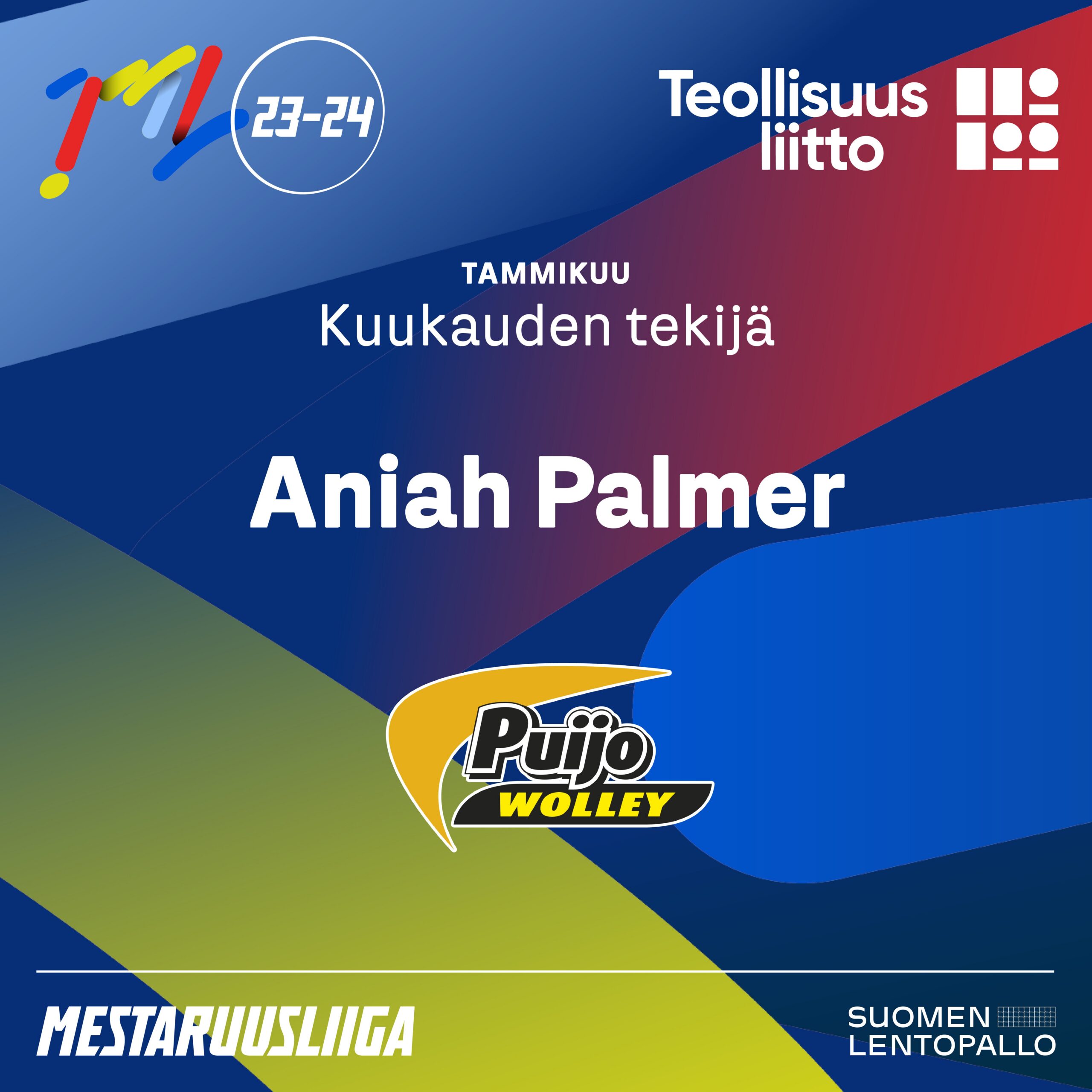 Puijon Palmer ja Hurrikaanin Petty Teollisuusliiton tammikuun Kuukauden Tekijät Mestaruusliigassa