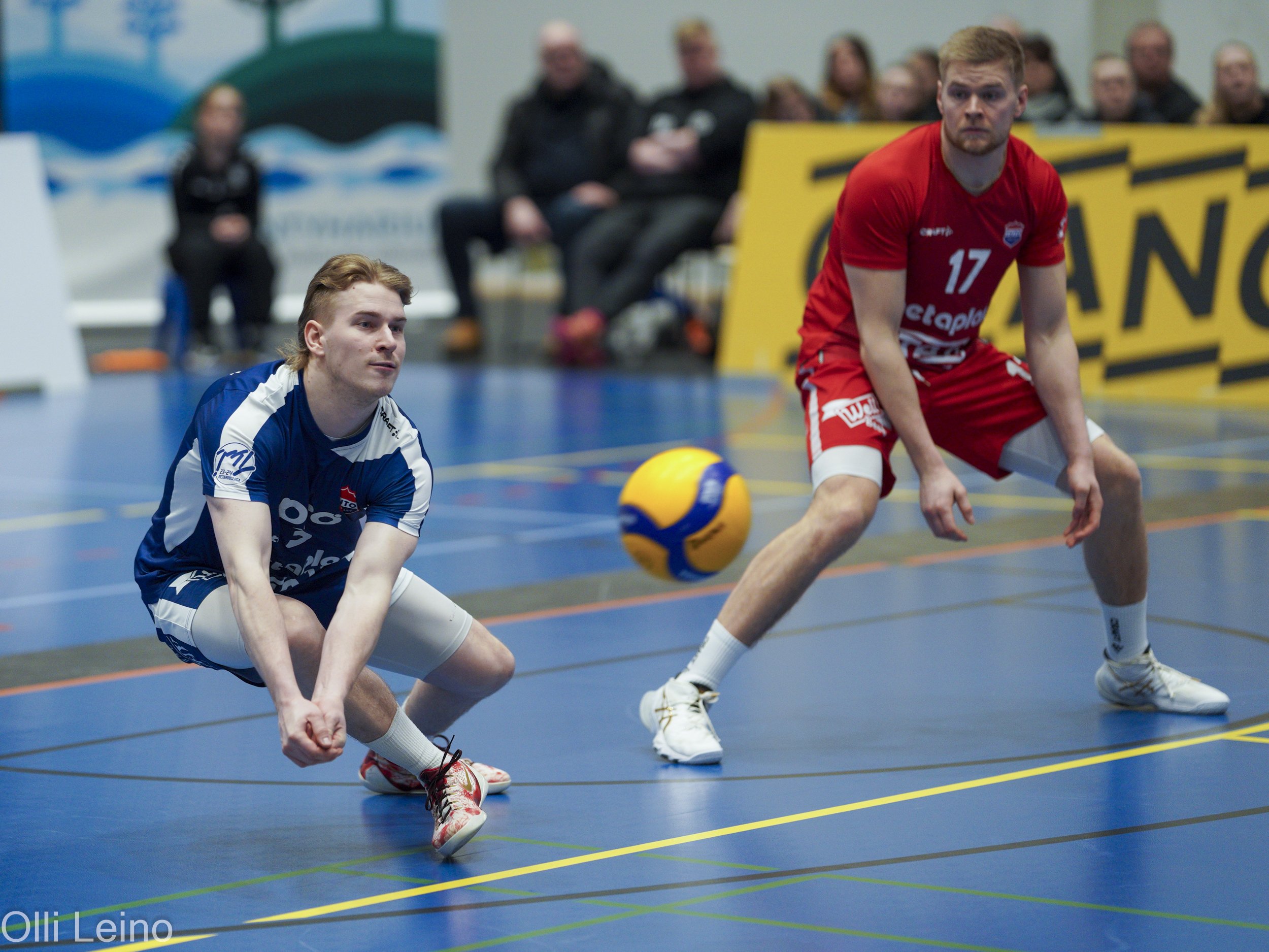 Lentopallon ilosanomaa levitettiin Mäntyharjulla - TUTO Volleylle makea voitto