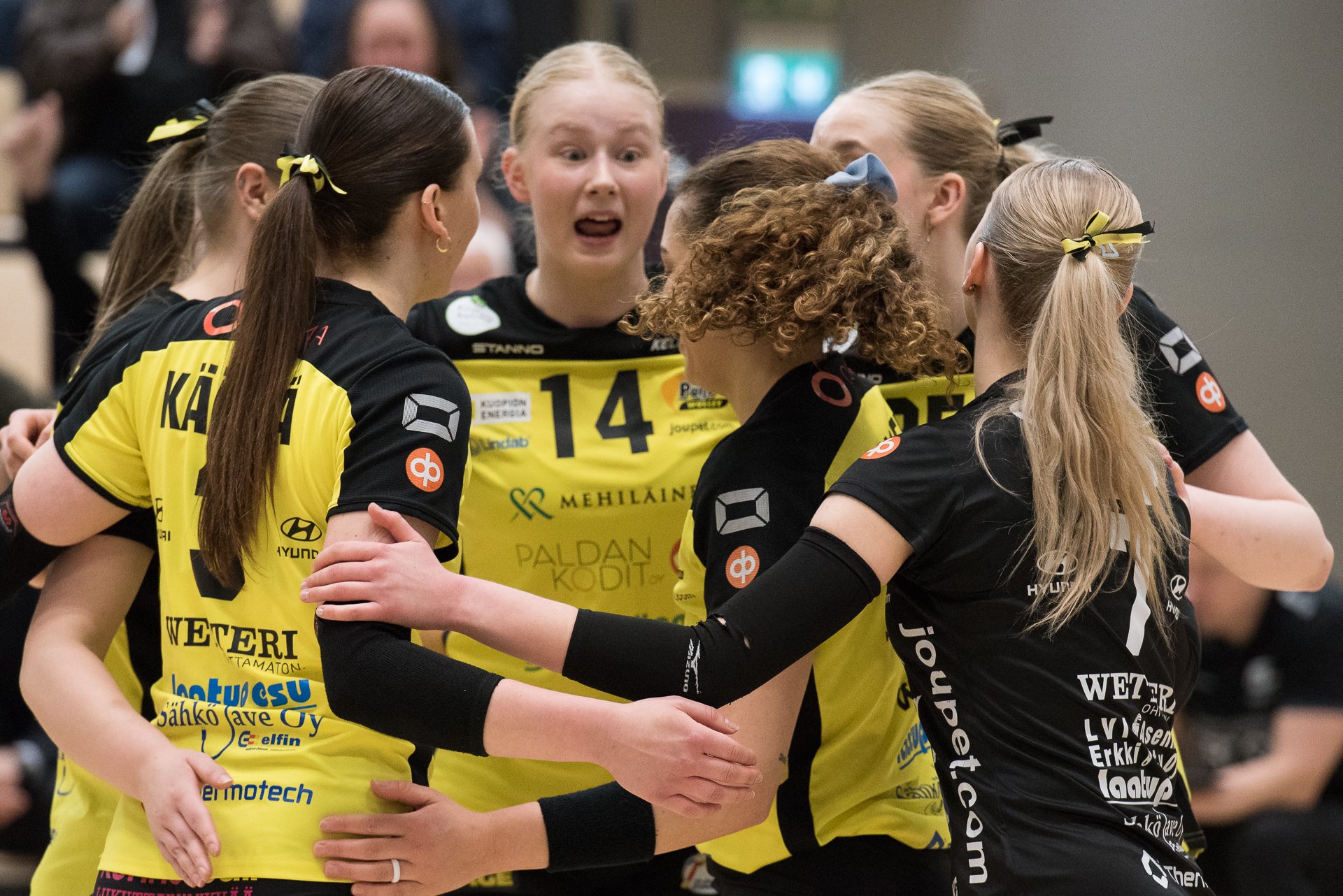 Puijolle kiinnitys pronssimitaleihin