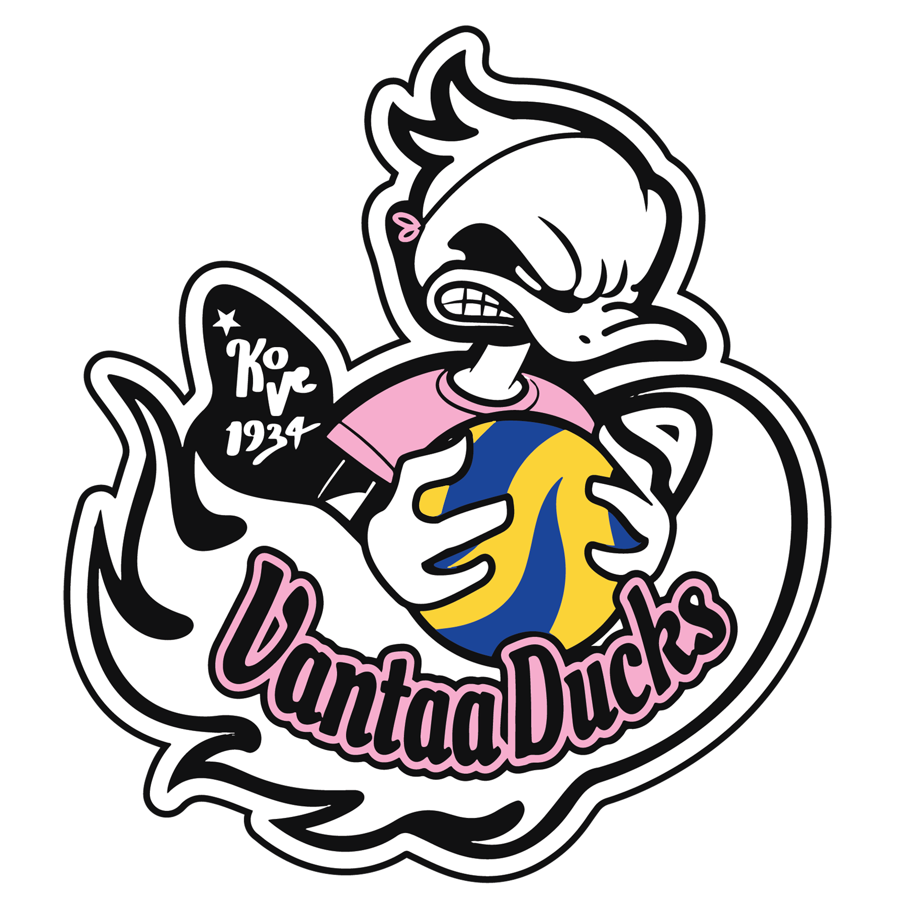 Vantaa Ducks ei hae Mestaruusliiga-paikkaa kaudelle 2024-2025