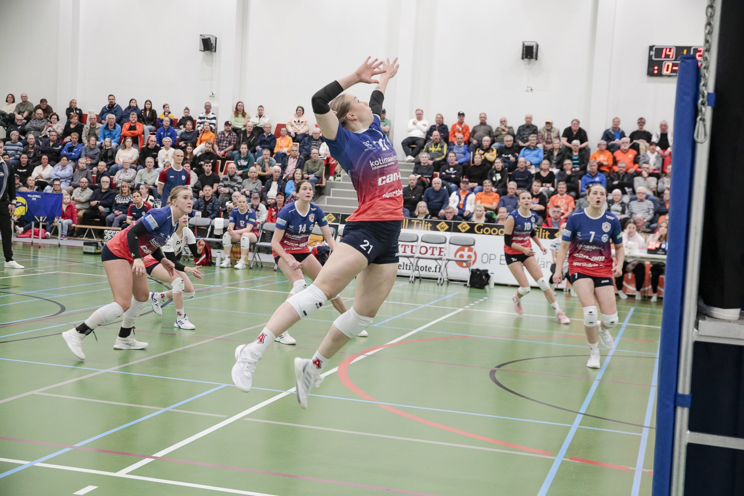 Puijo Wolley juhli kotiluolansa avausta mestarien kaatamisella