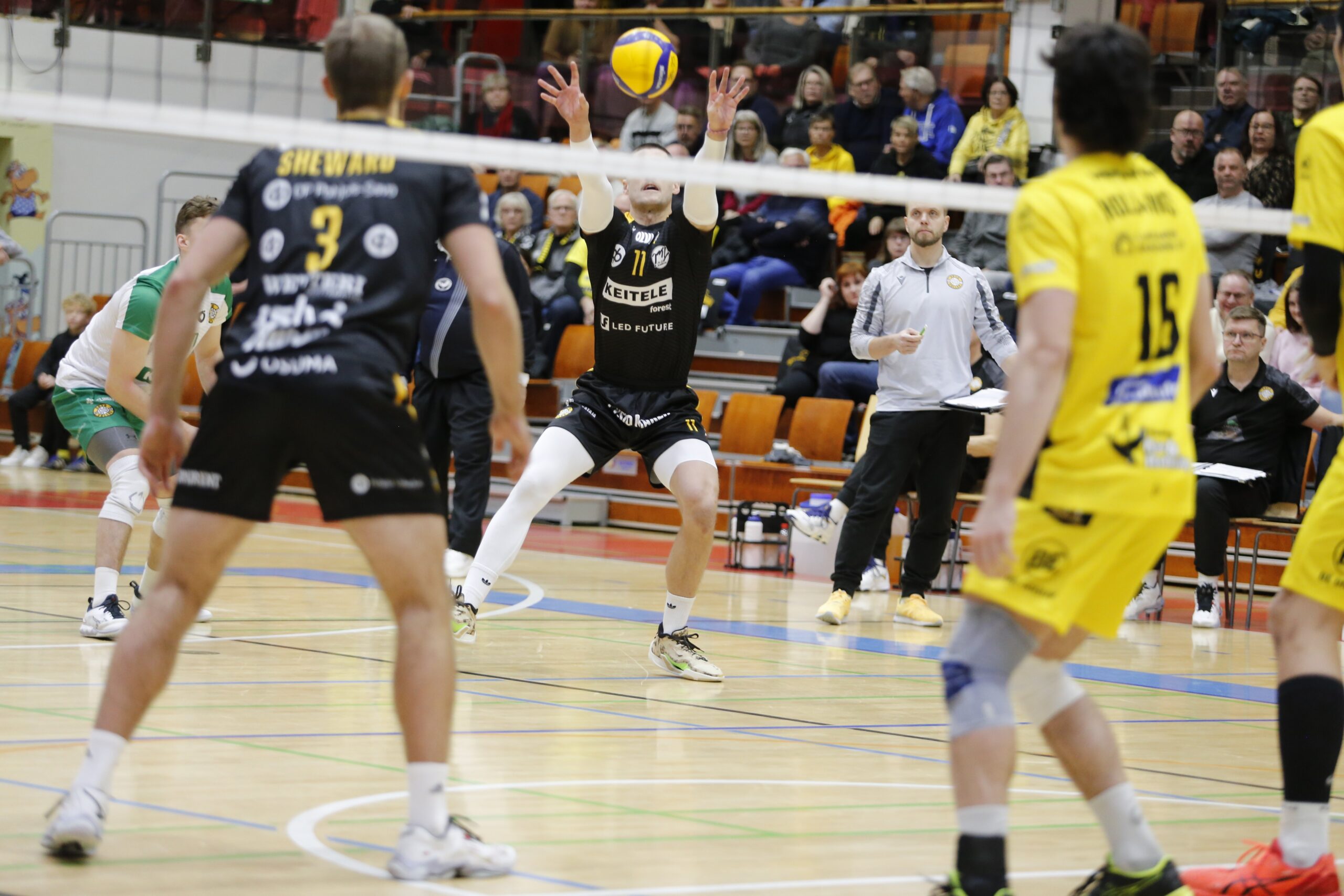 Kotivoittojen lauantai - Tiikerit, Hurrikaani, TUTO Volley, Hurmos täyteen pistepottiin