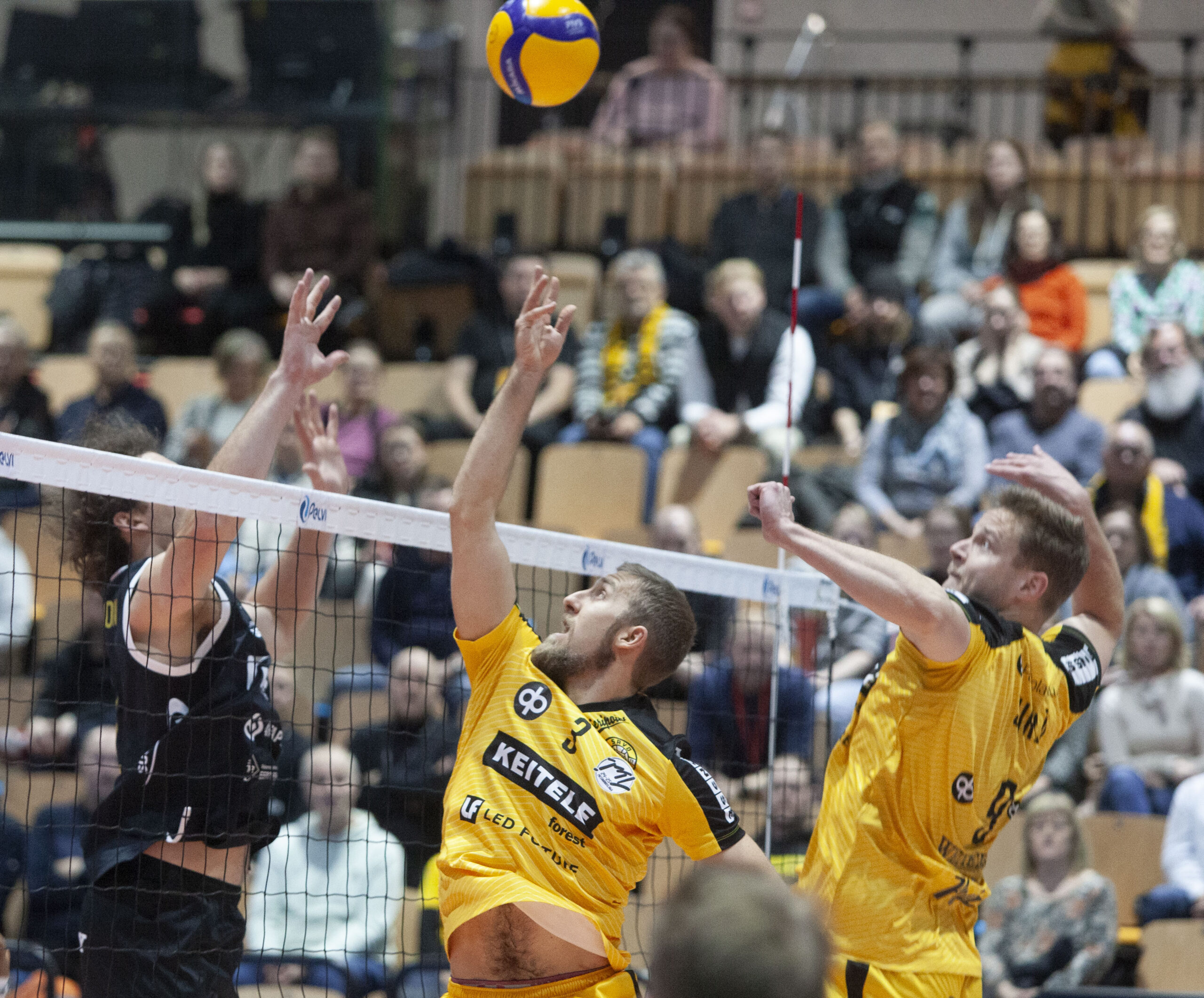 Tiikerit toistamiseen TUTO Volleylta parempi - Savo Volley Luolan herra