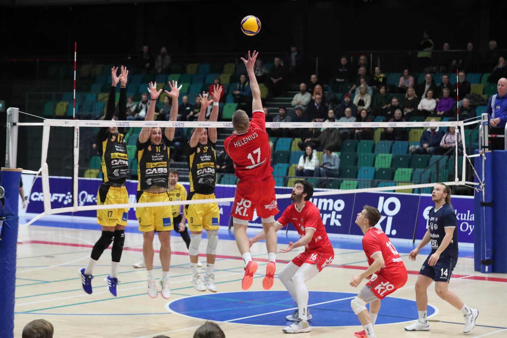 TUTO Volleylla onnistunut Tiikerinahan nylkeminen Kupittaalla