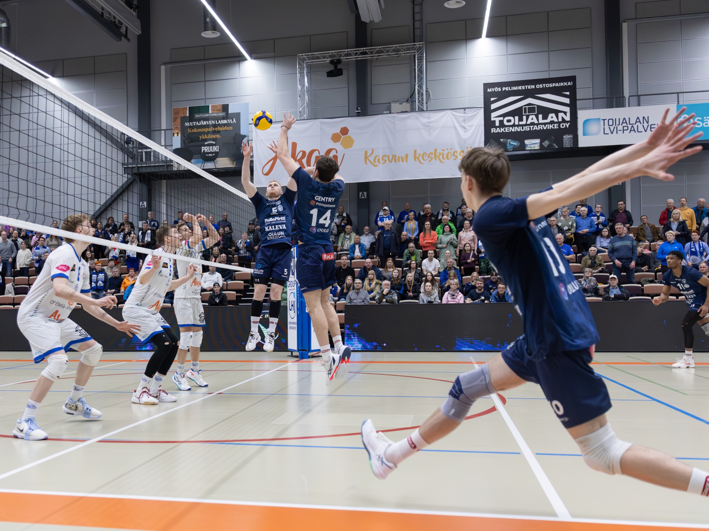 Viime kevään välieräpari kohtaa jälleen – AC Oulu Volley avaa liigakautensa Ouluhallissa